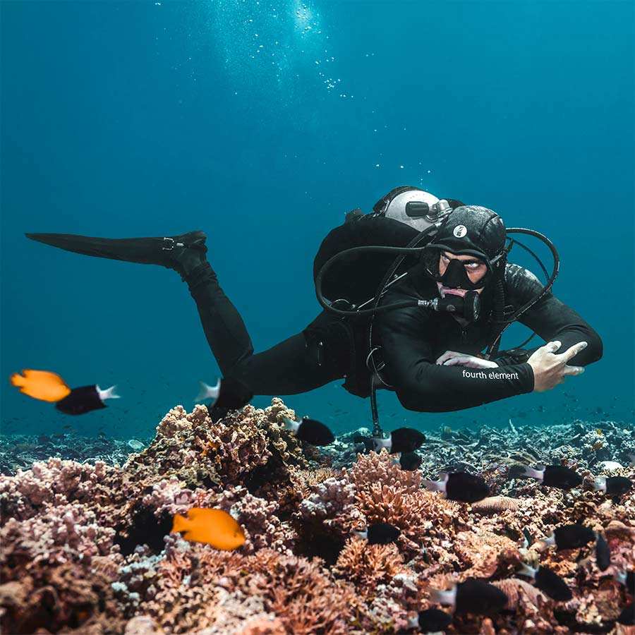 Divestore de Grevelingen 