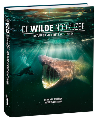 De Wilde Noordzee