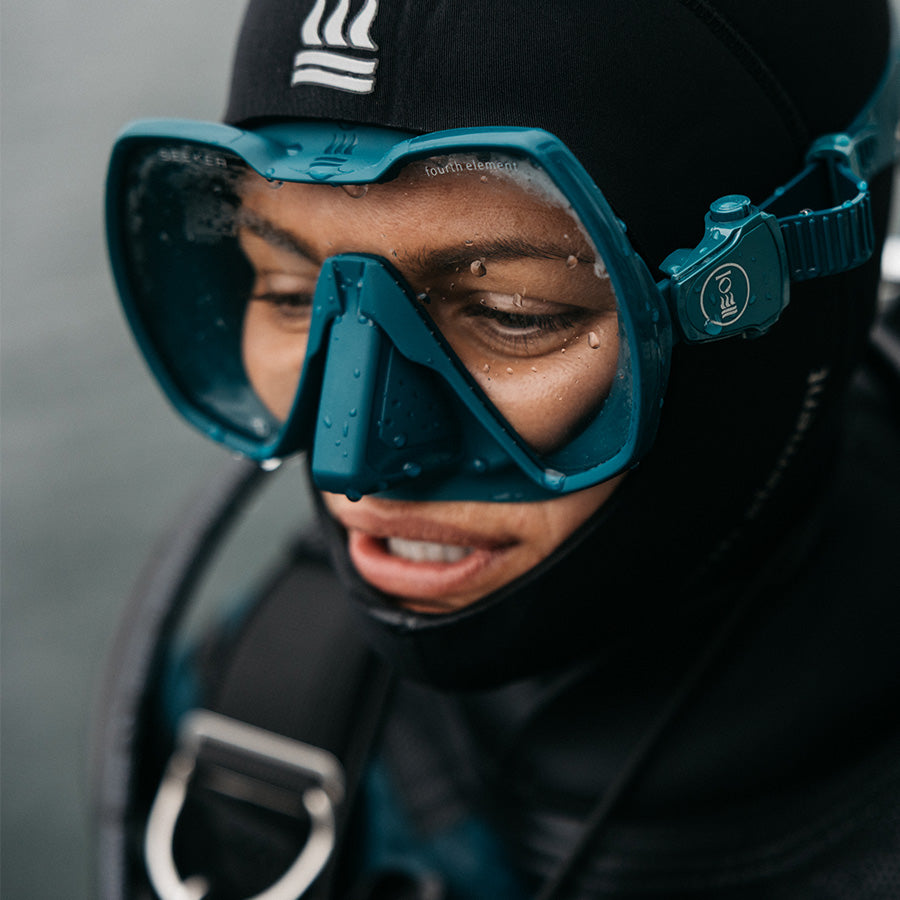 Divestore de Grevelingen 