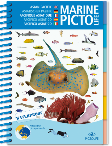 Pictolife marin d'Asie-Pacifique