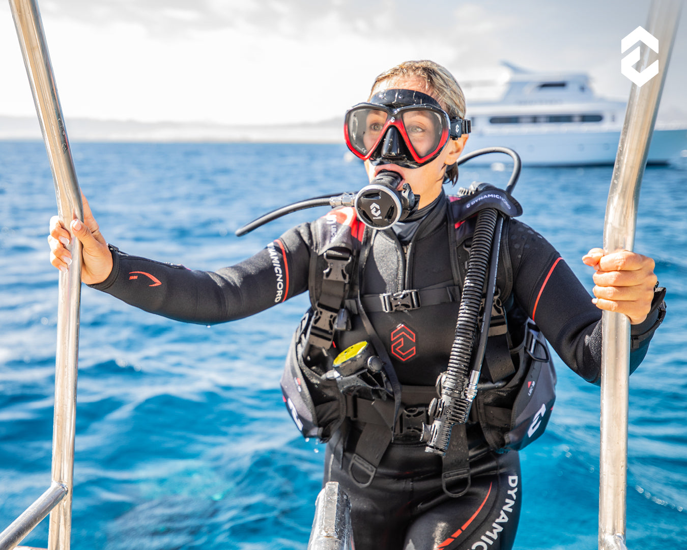 Divestore de Grevelingen 