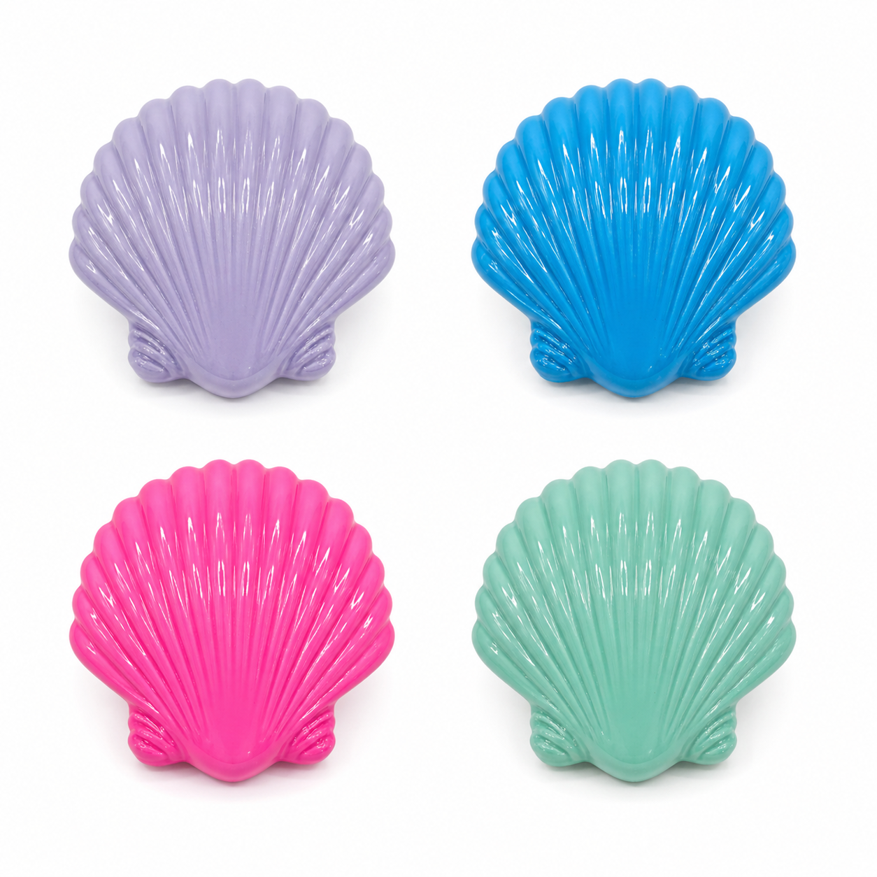 Sea Shell dive weigth