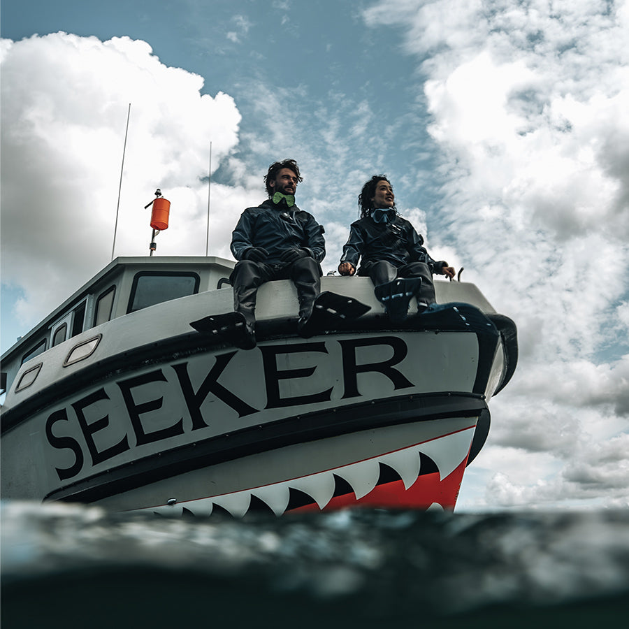 Seeker mask