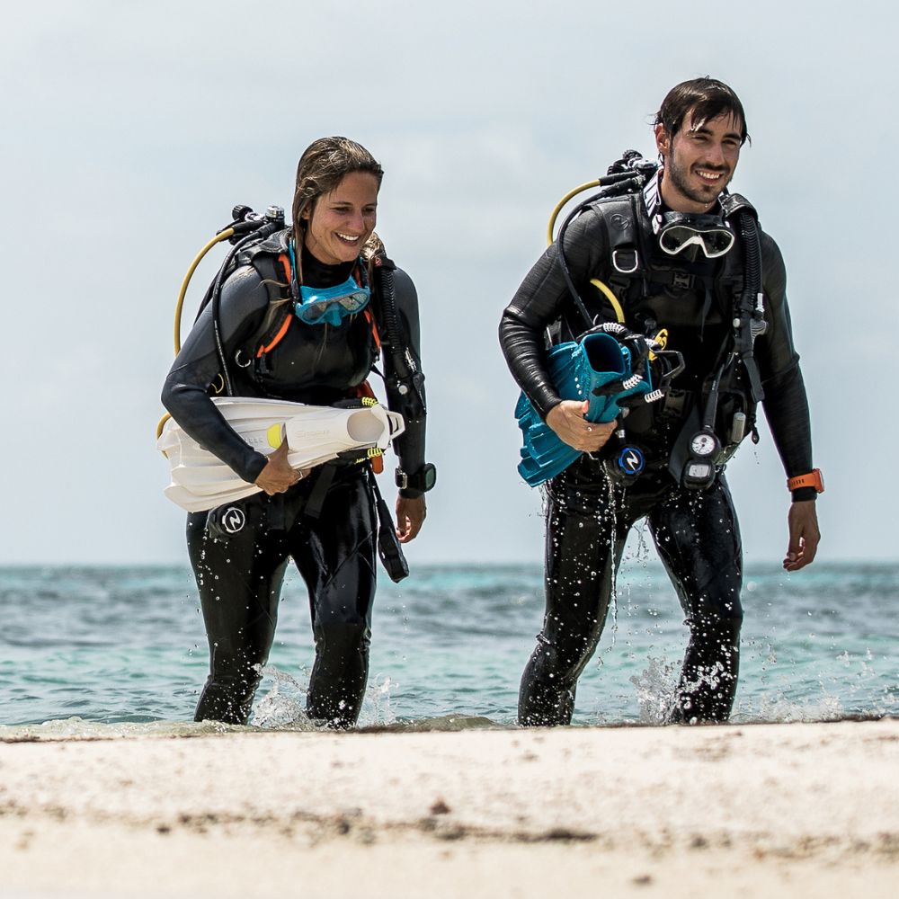 Divestore de Grevelingen 
