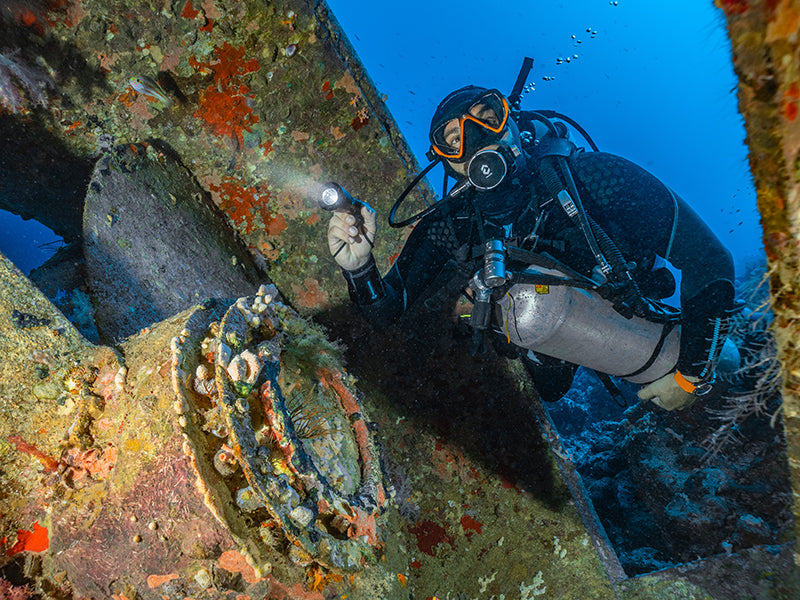Divestore de Grevelingen 