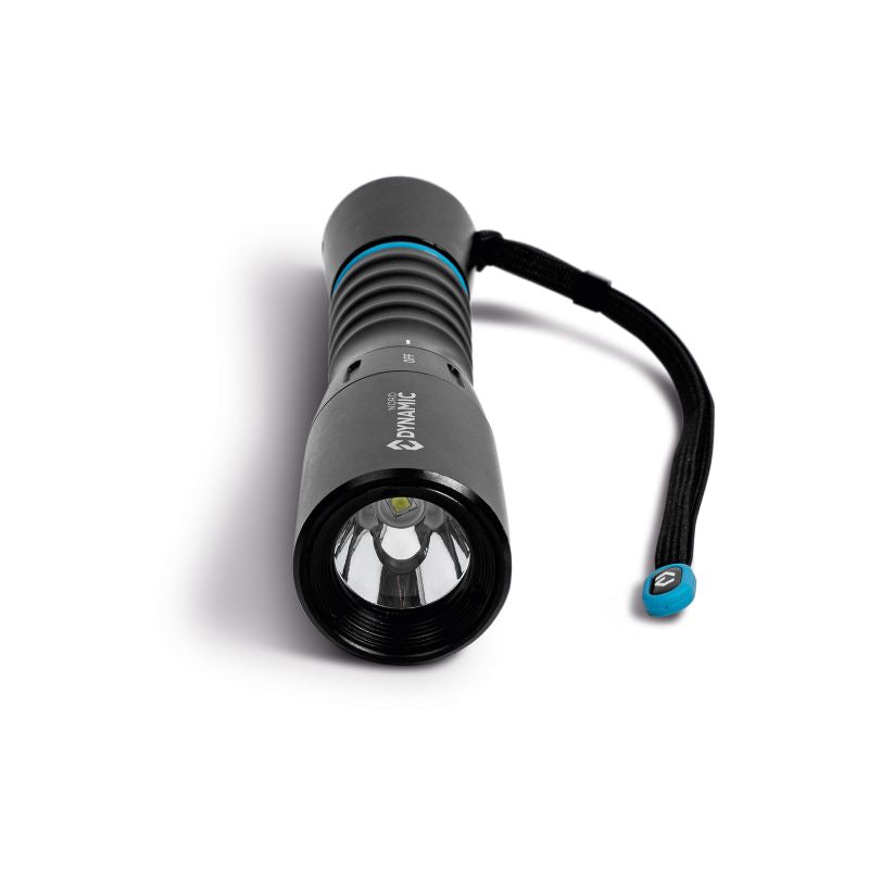 DL-1200 Dive Light