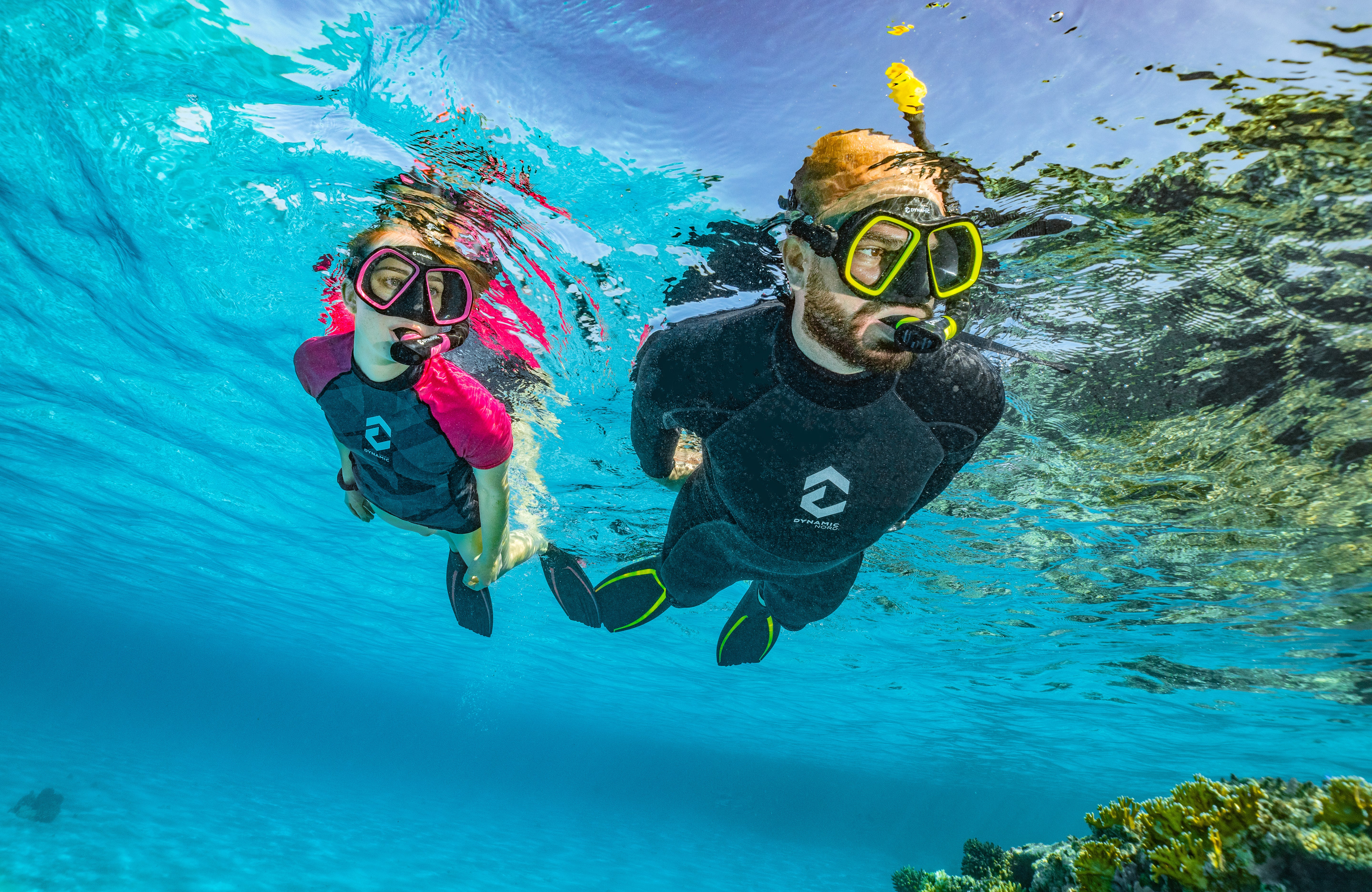 Divestore de Grevelingen 